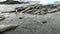 Penguins on snowy rocky coast in ocean of Antarctica.