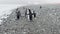 penguins on the stone coast of the Antarctic peninsula at cloudy weather, polar stations of different countries in the