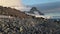 Penguins at sunset walk along the slope on pebbles. Andreev.