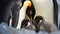 Penguins and their baby, penguin family in the antarctic isolated king penguin, penguins hugging their baby. Generative Ai