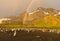 Penguins Under the Rainbow at Sunrise