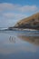 Penguins Walking Along a Beach