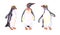 Penguins watercolor isolated on white background