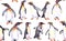 Penguins watercolor seamless pattern on white   background