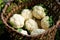 Pengzhou, China: Basket of Harvest Cauliflowers