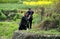 Pengzhou, China: Family Praying at Tomb