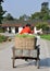 Pengzhou, China: Farmer with Cart of Green Beans