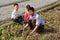 Pengzhou, China: Farmer & Children Harvesting Garlic