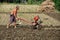 Pengzhou, China: Farmer Plowing Field