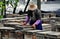 Pengzhou, China: Farmer Tending to Bee Hives