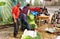 Pengzhou, China: Farmers Weighing Garlic Greens