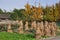 Pengzhou, China: Field of Drying Rice Stalks