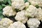 Pengzhou, China: Fresh Cauliflowers