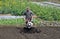 Pengzhou, China: Man Plowing Field