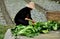 Pengzhou,China: Woman with Chinese Lettuce