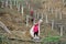 Pengzhou, China: Women at Vineyard