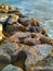 Peniche rocks near Cabo Carvoeiro in sunset light