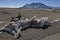 Penitent-shaped snows with a volcano in the background, the Atacama desert, northern Chile