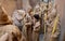 Penitents preparing before the start of an easter holy week procession in mallorca detail on hoods