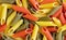 Penne pasta background, three colors of Penne, Penne pasta background texture, tube, pasta, pile of pasta, top view, delicious