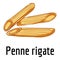 Penne rigate icon, cartoon style