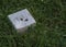 Pennies on Military Grave Marker