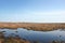 Pennine moorland on midgley moor in calderdale with a small pond reflecting the sky surrounded by cut bracken and a standing