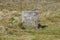 The Pennine Way near Pinhaw Beacon Trig Point, Elslack Moor near Lothersdale, North Yorkshire. England, UK