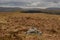 Pennine Way towards Great Shunner Fell