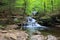 Pennsylvania Ricketts Glen Waterfall