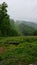 Pennsylvania top mountain rainy cloudy