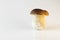Penny bun mushroom isolated on white background