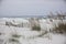 Pensacola Beach