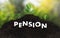 Pension money savings financial concept and retirement and people Investment growing