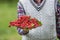 Pensioner farmer in garden holding plate full of red currants