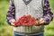 Pensioner farmer in garden holding plate full of red currants