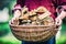 Pensioner farmer holding basket full of firewood. Man senior holding wood out of a basket to ignite the fireplace