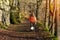 pensioner in orange coat with English bulldogs in forest, going for a walk in Peak District on sunny worm  day. Dog