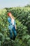 pensive attractive farmer holding clipboard and looking at harvest in field