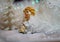 Pensive little angel - Christmas - selective focus