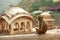 Pensive monkey sits in Monkey Temple. Cute monkey at ancient temple background