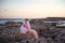 A pensive, offended princess in a pink dress with a veil and crown sitting cringing on a rock and the sky glow from dawn sunrise