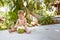 Pensive and passionate infant baby sits on the ground and eats and drinks green young coconut with spoon