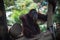 Pensive primate looks up. Smiling orangutan sits alone on the tree