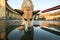 Pensive small Shepherd dog drinking water from puddle on square during sunset