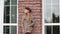 Pensive teenage girl in beret leaning at brick wall