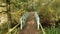 Pensthorpe Natural Park - Monet like bridge