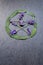 Pentacle / Pentagram - Witch, Wicca, Pagan symbol made of purple lavender flower spikes, circled by green sage herb leaves with