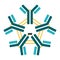 Pentameric IgM scheme of antibody