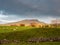 Penyghent mountain with Swaledale sheep